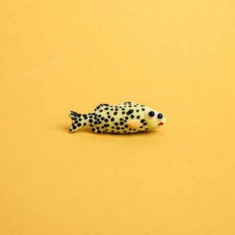 35. Poisson panthère