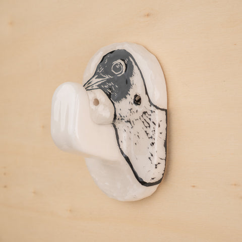 Mouette rieuse