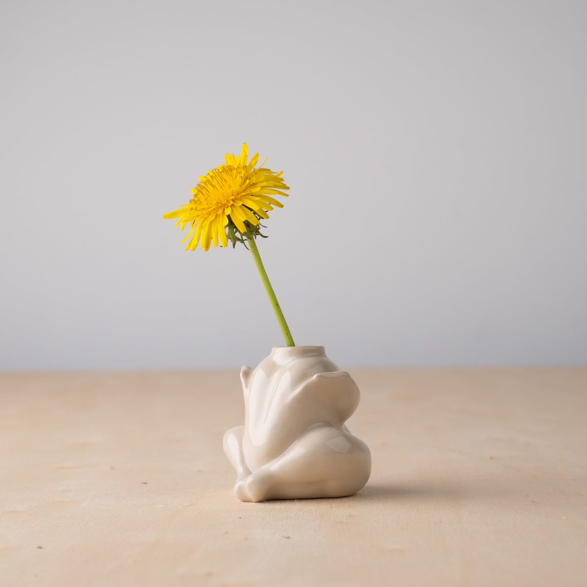 Mini Poulet